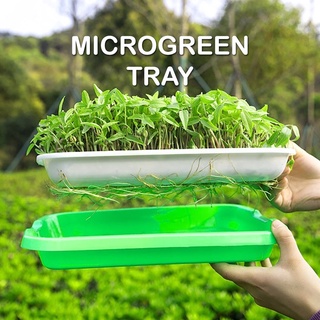 Microgreen Double-Layer Grow Tray Freshwater Without Soil for Seeds / Pea / Plant / Vegetables / Beansprout
