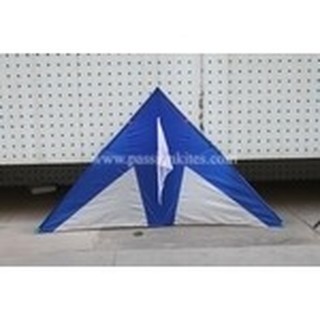 2.9m Blue Arrow Delta [Soft+Carbon] (1)