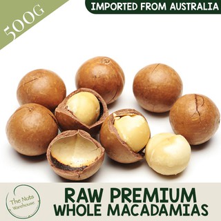 The Nuts Warehouse Raw Premium Macadamias Nuts [500g] (1)