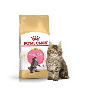 [2kg/4kg] Royal Canin Maine Coon Kitten