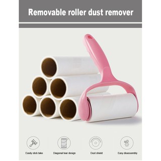 Removable roller dust remover