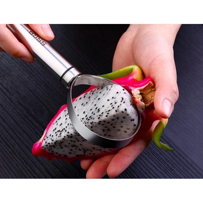 Heavy Duty Fruit Seed Remover in SUS304 Stainless Steel