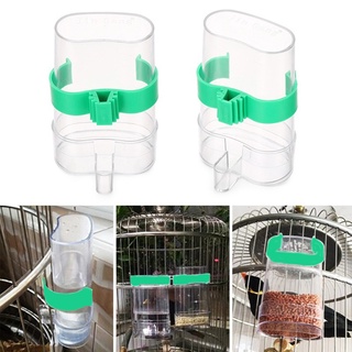Supplies Drinking Fountains Automatic Container Utensil New Cups Pet Parrot Bird