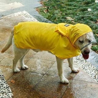 +TIR Pet Cat Dog Raincoat Hooded Puppy Small Dog Rain Coat Waterproof Jacket