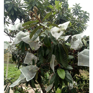 50PCS 25x15cm Garden Plant Against Insect Fruit Protect Drawstring Mesh Net Bag