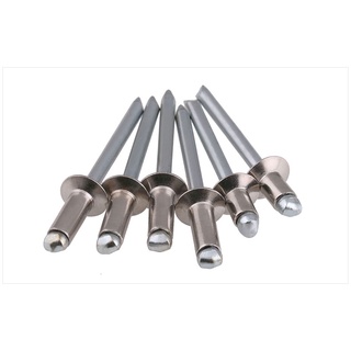 (10-60 Pcs Pack) 304 Stainless Steel Core Rivet Counterfeiting Head/Flat Head Aluminum Pull Nails Willow Dingding M2.4 M3 M3.2 M4 M5 BR
