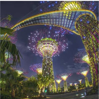 OCBC skyway at Gardens by the bay