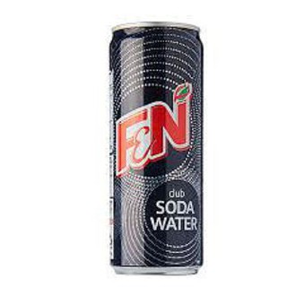 F & N Soda Water (24 Cans) 1 Carton