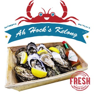 [Groupbuy special] Live Atlantic Oysters from Ireland (24 Pieces) with Free Delivery
