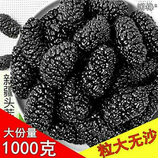 [snacks] Xinjiang wild black mulberry dry and no-washing dry mulberry without sand instant specialty new products