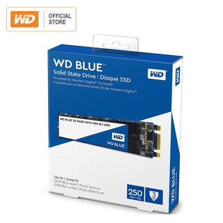WD CSSD BLUE 3D NAND M.2 SOLID STATE DRIVE 250GB / 500GB / 1TB / 2TB - WD OFFICIAL STORE