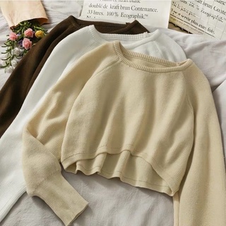 SG LOCAL 5 Colour Basic Round Neck Long Sleeve Knitted Crop Pullover