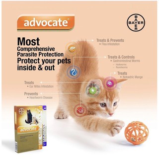 Bayer Advocate® - Flea and Heartworm Treatment for Cats