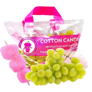 [888SEASONS] Australia Cotton Candy White Seedless Grapes