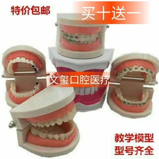 Oral care/tooth decay#Dental Tooth Model Whitening Tooth Teaching Practice Model Correction Model Dentures Cases Tooth D