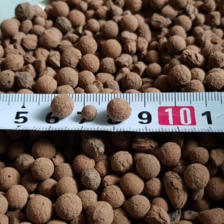2 litre small LECA balls (from SG)