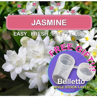 Jasmine Flower / Jasmine Plant Seeds / Vegetable / Flowers / Fruit / Farm