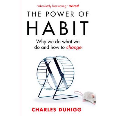 The Power of Habit: Why We Do What We Do, and How to Change PAPERBACK (9781847946249)