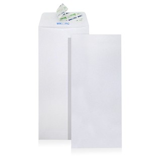 20pc White/ Manilla/ Goldkraft Paper Envelopes (DL/ C5/ C4/ B4) (1)