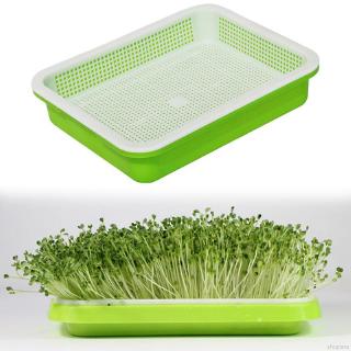 Hydroponics Seed Germination Tray Seedling Sprout Plate Grow Nursery Pots Vegetable Seedling Pot (1)