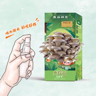 【蘑菇精灵种子/现货】Mushroom Elf Seed2盒蘑菇精灵蘑菇diy蘑菇盒子菌菇蘑菇种植包秀珍菇榆黄菇红桃平菇4.10