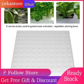 Yekas 100 Pcs Vegetable Gardening Soilless Hydroponic Cultivation Pu Sponge Equipment
