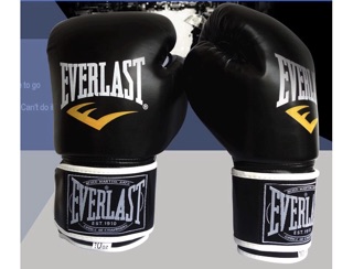 💥READY STOCK!!💥 MMA Muay Thai Everlast Professional Boxing Gloves