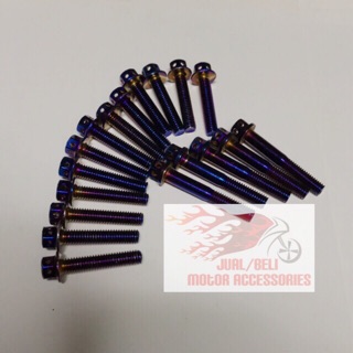 [Shop Malaysia] Rxz titanium engine screw set (1)