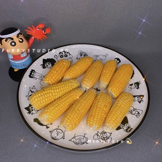 Mini corn for hamster and small animals 迷你磨牙小玉米