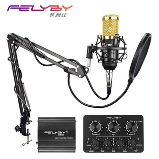 FELYBY profession bm 800 condenser microphone Multi-function sound card