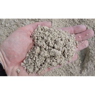 Lawn Sand approx 2KG [SG SELLER]