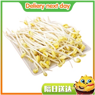 Soybean Bean Sprout 豆芽 200g [Vegetable]