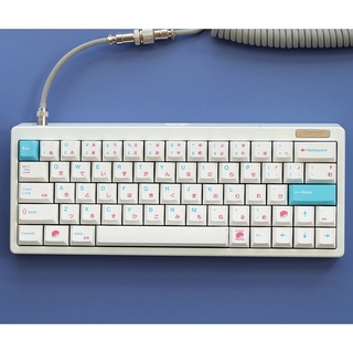 【Fast Delivery 】[Keycaps] Sushi Mechanical Keyboard Keycaps Cherry Profile OEM Height PBT 135 Keys Support 61/64/68/78/84/87/96/980/104/108 Profile Keyboard