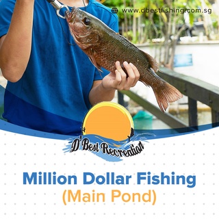 [D Best Recreation] dbest fishing Million Dollar Fishing (Main Pond) Session A/B/C Fishing/SG Activities/Attraction