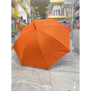 Umbrella color full