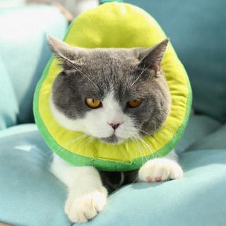 Pet Protective Collar Neck Cone Recovery Cone Anti-Bite Surgery Wound Healing Cat Dogs Collar