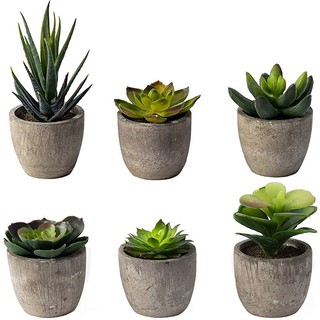 6 Pots Small Artificial Succulent Plants Mini Fake Faux Pot For Shelf Kitchen Co