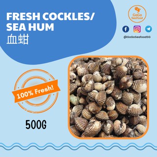 [GoGo Seafood] Fresh Cockles/ Sea Hum Whole 血蚶