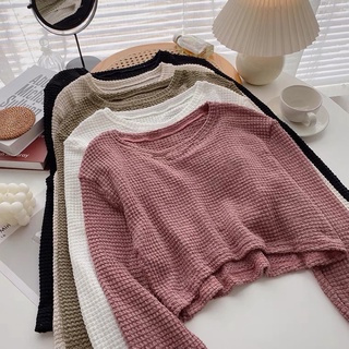 SG LOCAL 5 Colour Waffle Detail Round Neck Long Sleeve Crop Pullover