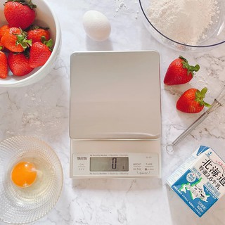 [SG IN STOCK] Tanita Scale / Digital Kitchen Scale TANITA KD-321 Silver / Digital Kitchen Scale Weigh Range 5kg