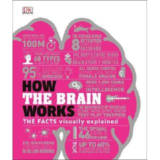 How the Brain Works: The Facts Visually Explained HARDCOVER (9780241403372)