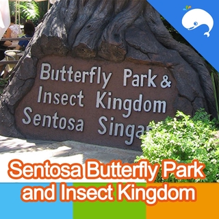 Sentosa Butterfly Park and Insect Kingdom