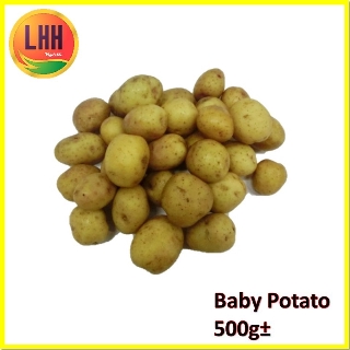 [LHH] Baby Potato 马铃薯仔 500g± [Vegetable]