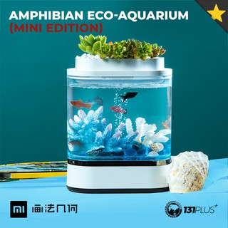 HFJH Amphibian Eco-Aquarium Mini Edition [ 2-In1, Built-In Water Filter, Air Pump, USB Charging, LED Light, 5V ]