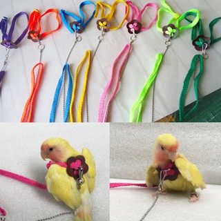 Pet Parrot Bird Leash Outdoor Adjustable Harness Training Rope Bird Supplies