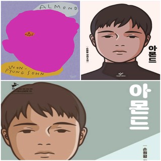 📚🎁 Almond: A Novel:* Son Won-pyeong's feature novel <Almond> English version / Korean version
