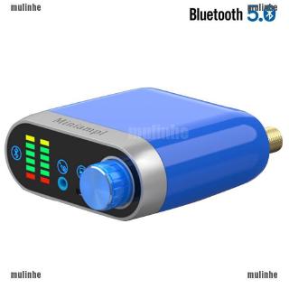 Bluetooth 5.0 Wireless Power Amplifier Stereo HiFi Digital Amp 50W+50W