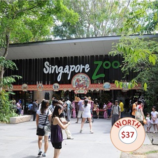 Singapore Zoo ticket(without tram)