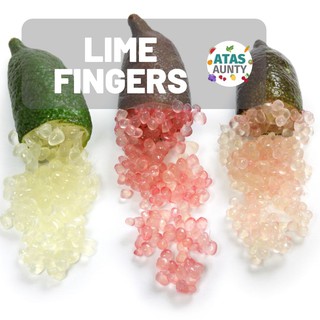 [AA] Red Finger Limes (Fresh Fruit)