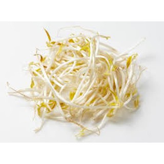 Fresh Beansprout 豆芽 - 300g